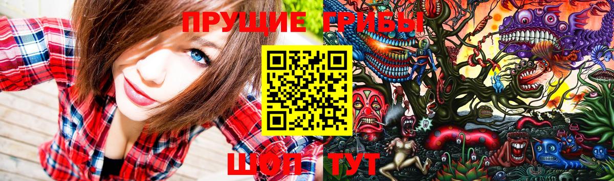 Галлюциногенные грибы Cubensis  Вход с VPN  Псилоцибиновые грибы Magic Shrooms  Морозовск 